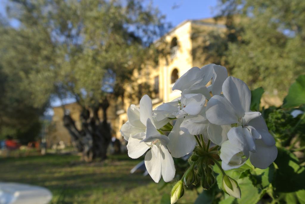 Gasthaus Maset Del Garraf Olesa de Bonesvalls Exterior foto