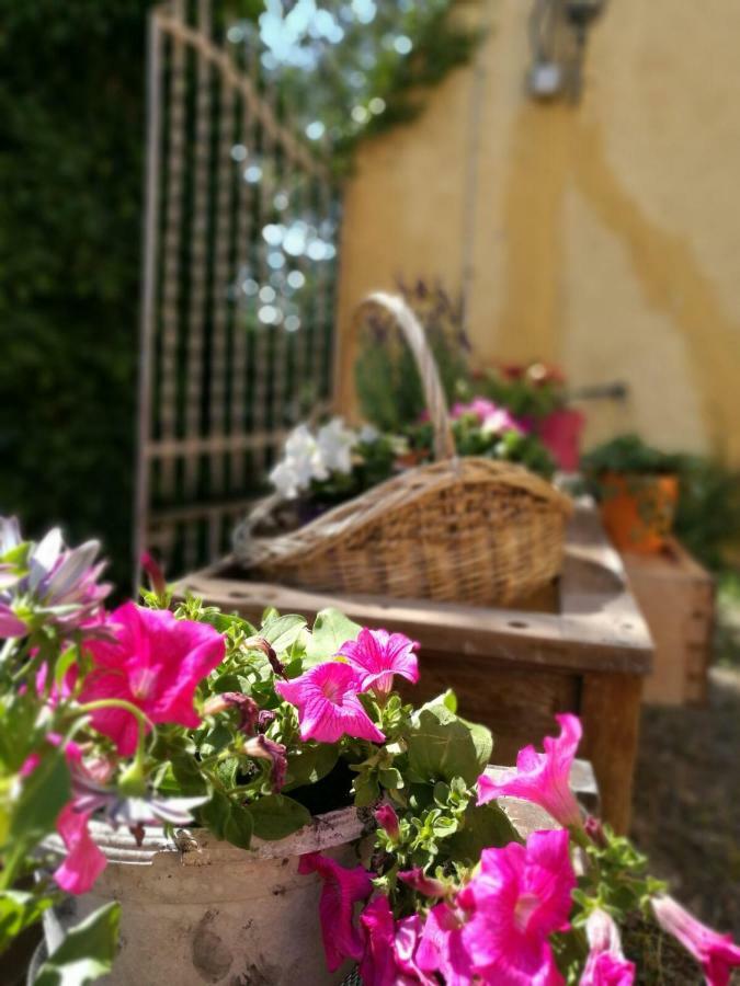 Gasthaus Maset Del Garraf Olesa de Bonesvalls Exterior foto